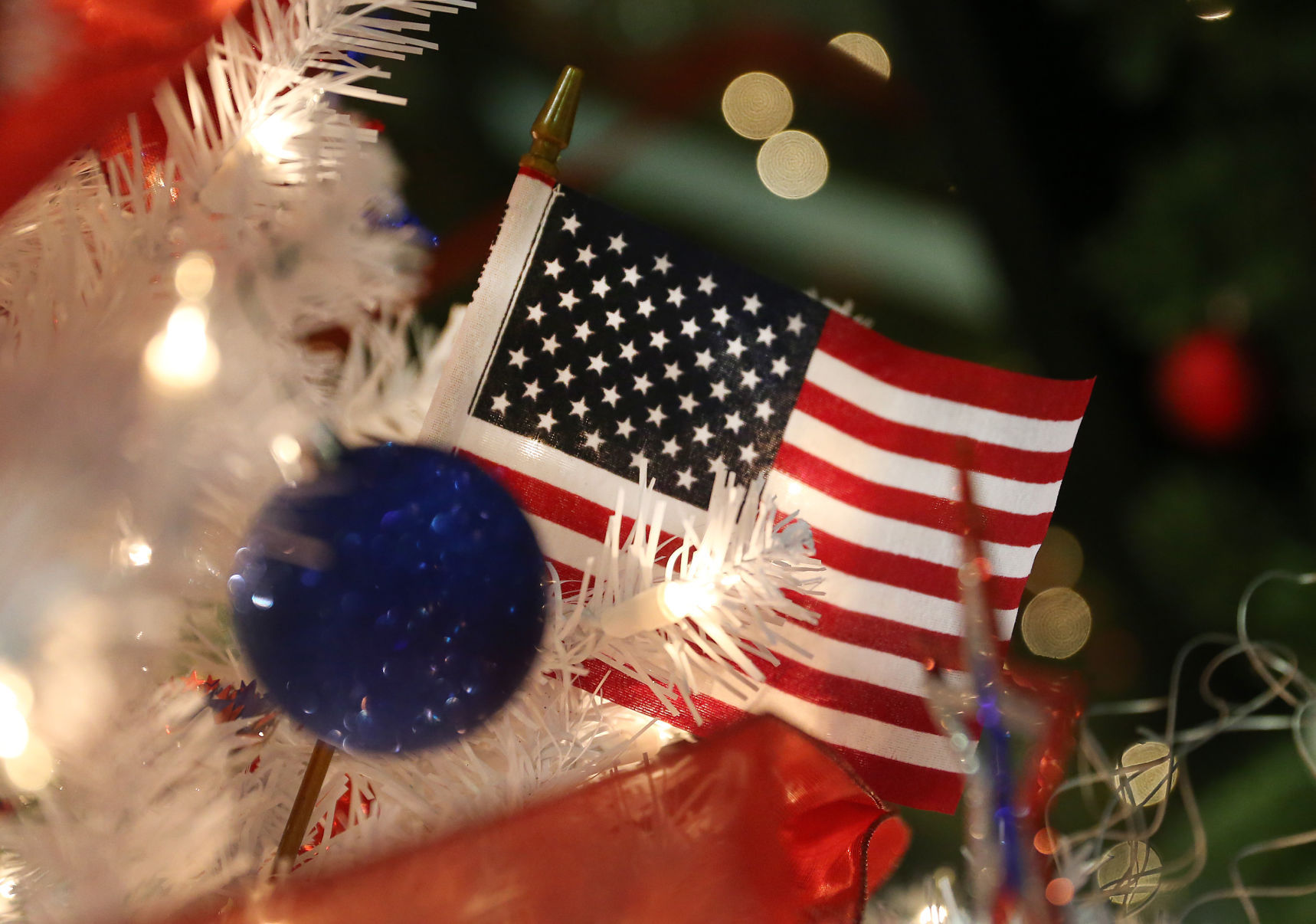 Festival of Trees (Weekender)